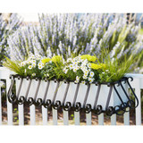 European Window Box with white liner on wood railing