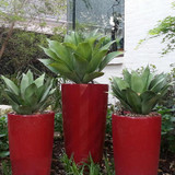 UV Outdoor Rated 28.5" Agave in red planters