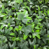 Close up of UV Outdoor Rated 12"x12" English Ivy Mat