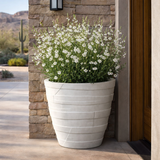 Mache planter planted with white flowers shown next to a door