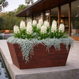 Tapered Madera planter filled with white flowers. shown in filbert finish -by ypool