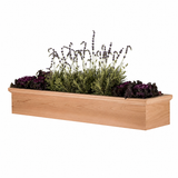 Newport Cedar Window Box on a white background