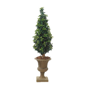 5' Outdoor Rated Laurel Cone Topiary 5' Outdoor Rated Laurel Cone Topiary