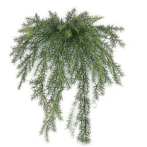 Outdoor Rated Artificial Sprengerii