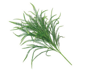 Outdoor Rated Artificial Sword Fern for long lasting planter arrangements