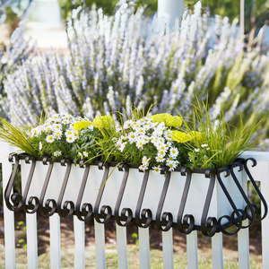 European Railing Planter with white liner on fence with lavender in background European Railing Planter with white liner on fence with lavender in background