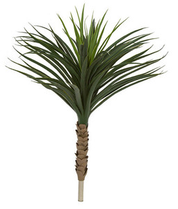 36" Yucca Outdoor UV Rated Plant on white 36" Yucca Outdoor UV Rated Plant on white