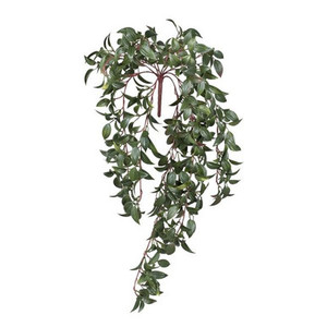 29" Bittersweet Outdoor Rated Vine on white background