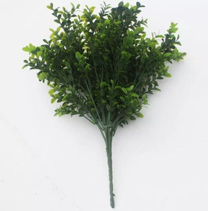 Outdoor UV Rated Boxwood Bush Pick on white background Outdoor UV Rated Boxwood Bush Pick on white background