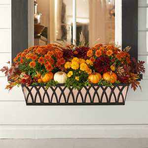 Arch tapered powder coated iron window box with fall flowers shown with copper liner Arch tapered powder coated iron window box with fall flowers shown with copper liner