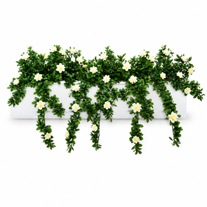 White UV Rated Azalea recipe installed in a window box