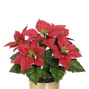 UV Outdoor Rated Poinsettia set in a gold container UV Outdoor Rated Poinsettia set in a gold container
