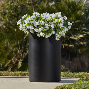 Urban round planter with bougainvillea plants