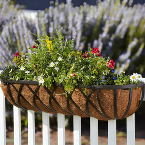 Arch window basket with rail brackets on white wood fence with lavender in background Arch window basket with rail brackets on white wood fence with lavender in background