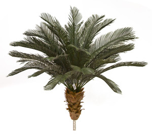3.5 foot Outdoor UV Rated Cycas Palm Trees, with 36 Fronds 3.5 foot Outdoor UV Rated Cycas Palm Trees, with 36 Fronds