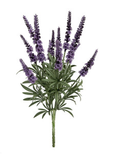UV Outdoor Rated 19" Lavender on white background