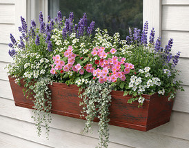 Finding Your Window Box Style: A Design Guide