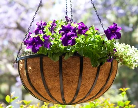 How to Plant a Hanging Basket
