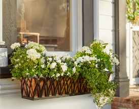 Summer Curb Appeal: Transform Your Entrance into a Sunny Oasis Summer Curb Appeal: Transform Your Entrance into a Sunny Oasis