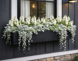 The Moonlight Garden