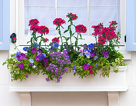 Spring Prep Guide:  Get Outside This Spring Season