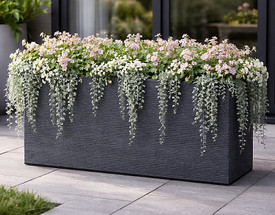 Earth, Steel, and Stone: Swapping Busy for Balance this February