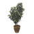 50" Outdoor UV Rated Mountain Laurel 50" Outdoor UV Rated Mountain Laurel