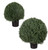 24" and 30" Round Cypress Bushes on white background