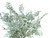 Close up of 14" Outdoor UV Rated Dusty Miller Bush