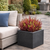 Multi-color 18" Outdoor UV Rated Eucalyptus Bushes in black square planter next to an outdoor chair