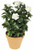24" outdoor rated artificial white gardenias
