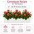 Outdoor Rated Red Geranium Recipe for 36" Window Box