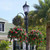 2 Large Powder Coated English Garden Hanging Basket with flowers on a lamp post
