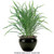2 Outdoor Rated Artificial Sword Ferns in planter for added volume