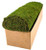 Large Preserved Moss Roll in a box