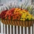 English Garden Railing Basket filled with mums