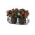 2 pots with azaleas inside Parisian Railing Planter
