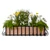 European Railing Planter with copper liner and planted with yellow daffodils and paper whites with some fern accents