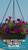 Fiberglass Hanging Basket
