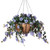 Purple Outdoor Bougainvillea Bundles for Hanging Baskets