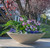 Modern Low Bowl Planter planted