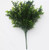 Outdoor UV Rated Boxwood Bush Pick on white background
