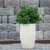 Several Outdoor UV Rated Boxwood Bush Picks in natural color planter