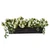 Medallion Window Box with white flowers