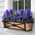 Medallion Window Box with copper liner with purple flowers