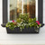 Venetian Window Box with black liner on a home