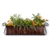 Heatherbrook Window Box with fall foliage