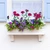 Laguna Direct Mount Window Box with beautiful flower arrangement, mounted to window.