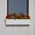 Solera Window Box with autumn color flowers