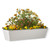 Modern Farmhouse Window Box in white with fall foliage